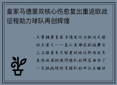 皇家马德里双核心伤愈复出重返欧战征程助力球队再创辉煌